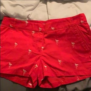 J crew chino flamingo shorts